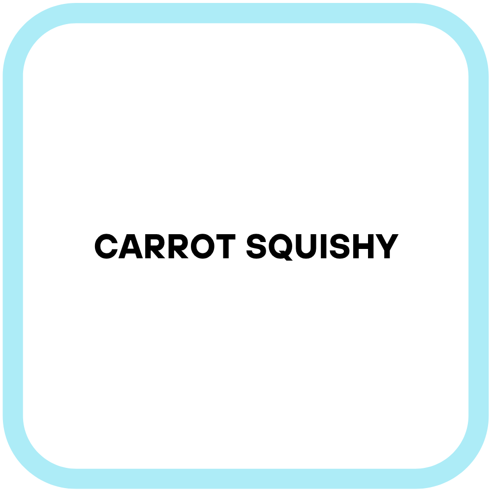 Carrot Squishy