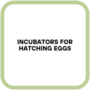 Incubators for Hatching Eggs