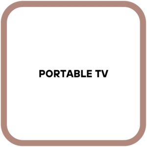 Portable TV