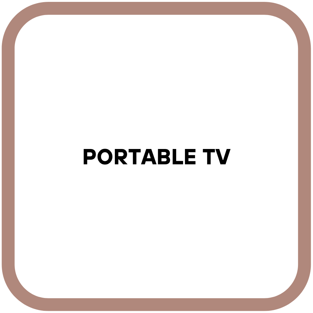 Portable TV