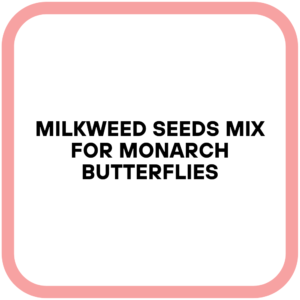 Milkweed Seeds Mix for Monarch Butterflies