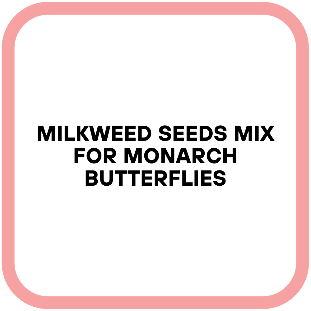 Milkweed Seeds Mix for Monarch Butterflies
