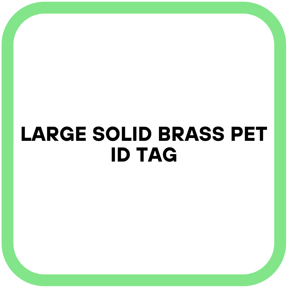 Large Solid Brass Pet ID Tag