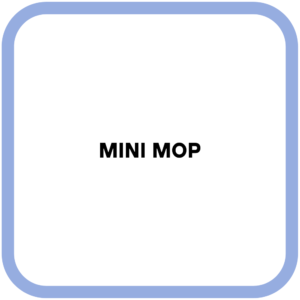 Mini Mop