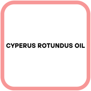 Cyperus Rotundus Oil