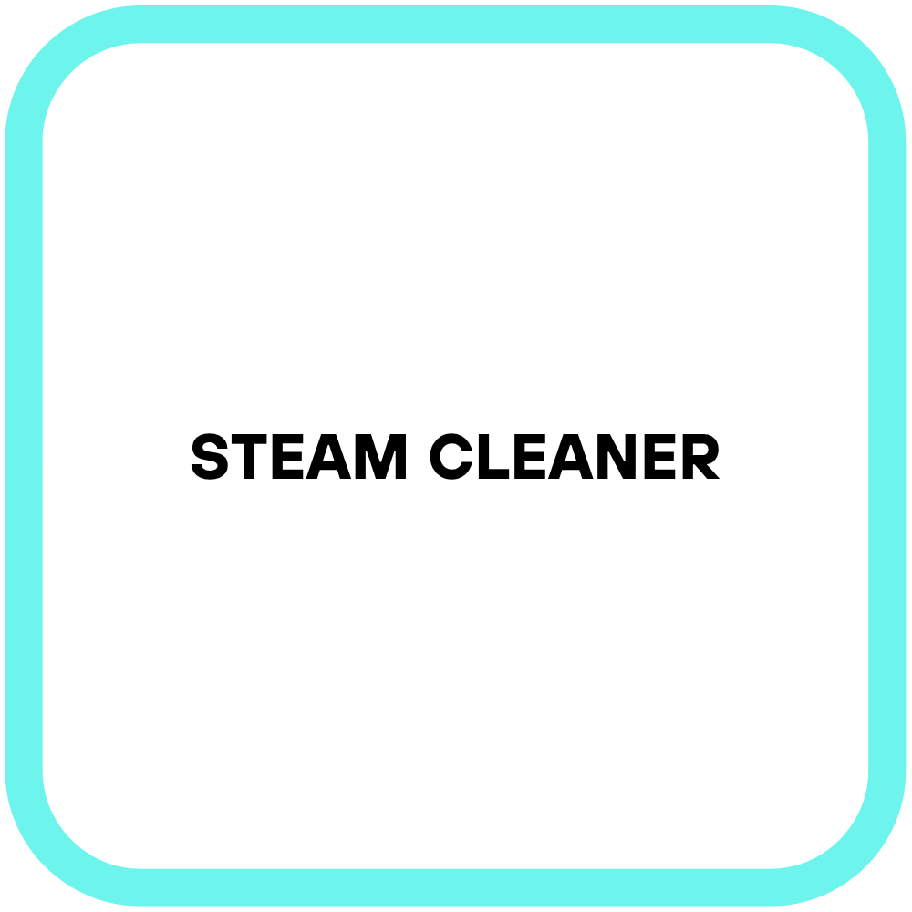 Steam Cleaner