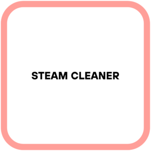 Steam Cleaner