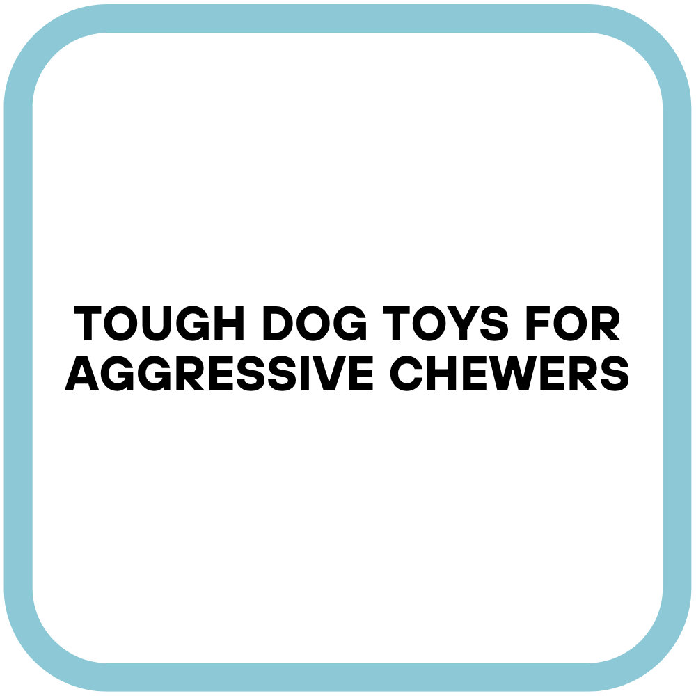 Tough Dog Toys for Aggressive Chewers