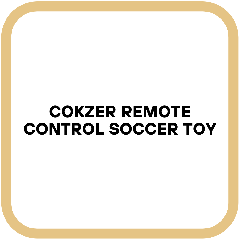 Cokzer Remote Control Soccer Toy
