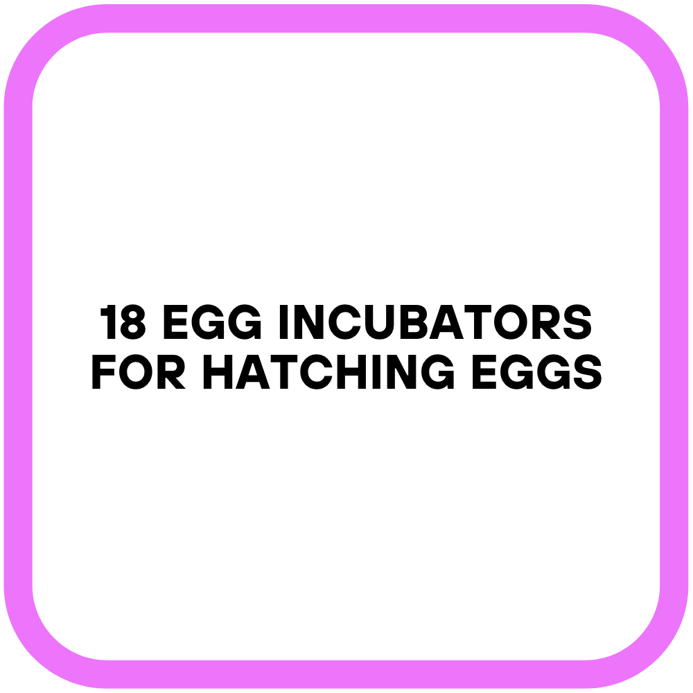 18 Egg Incubators for Hatching Eggs