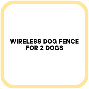 Wireless Dog Fence for 2 Dogs