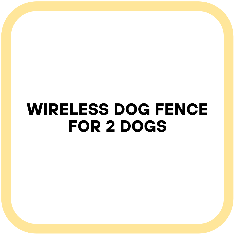Wireless Dog Fence for 2 Dogs