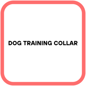 Dog Training Collar