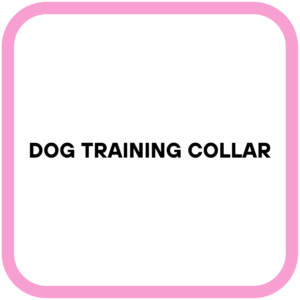 Dog Training Collar