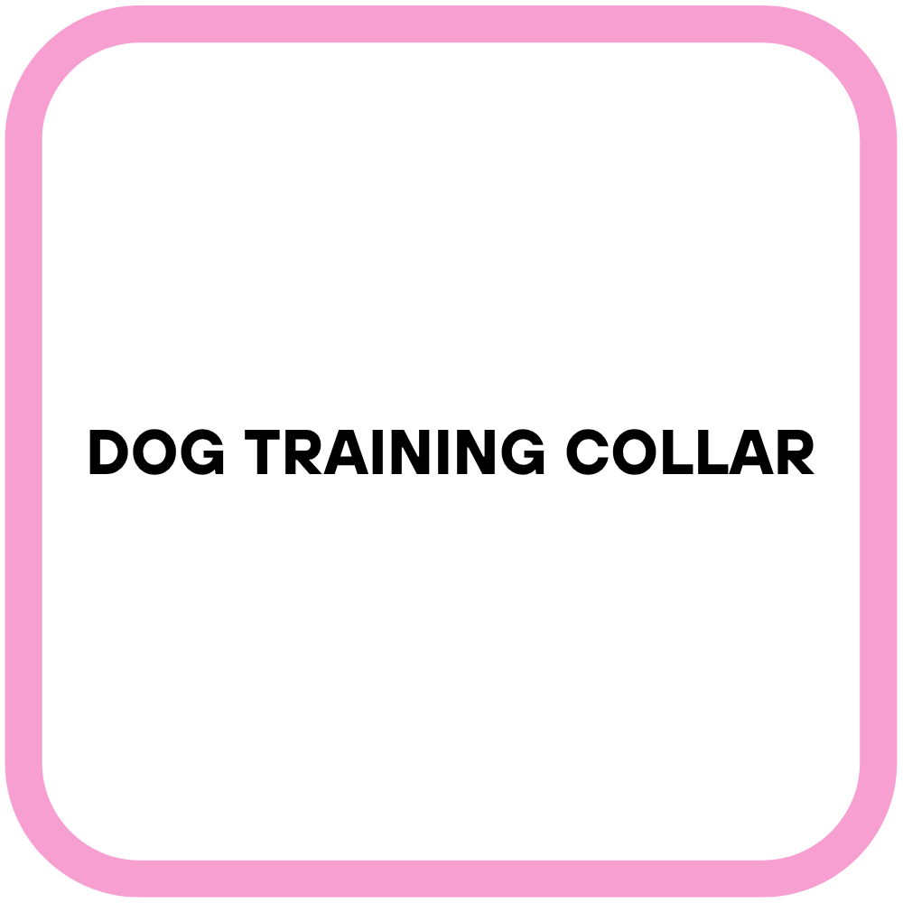 Dog Training Collar