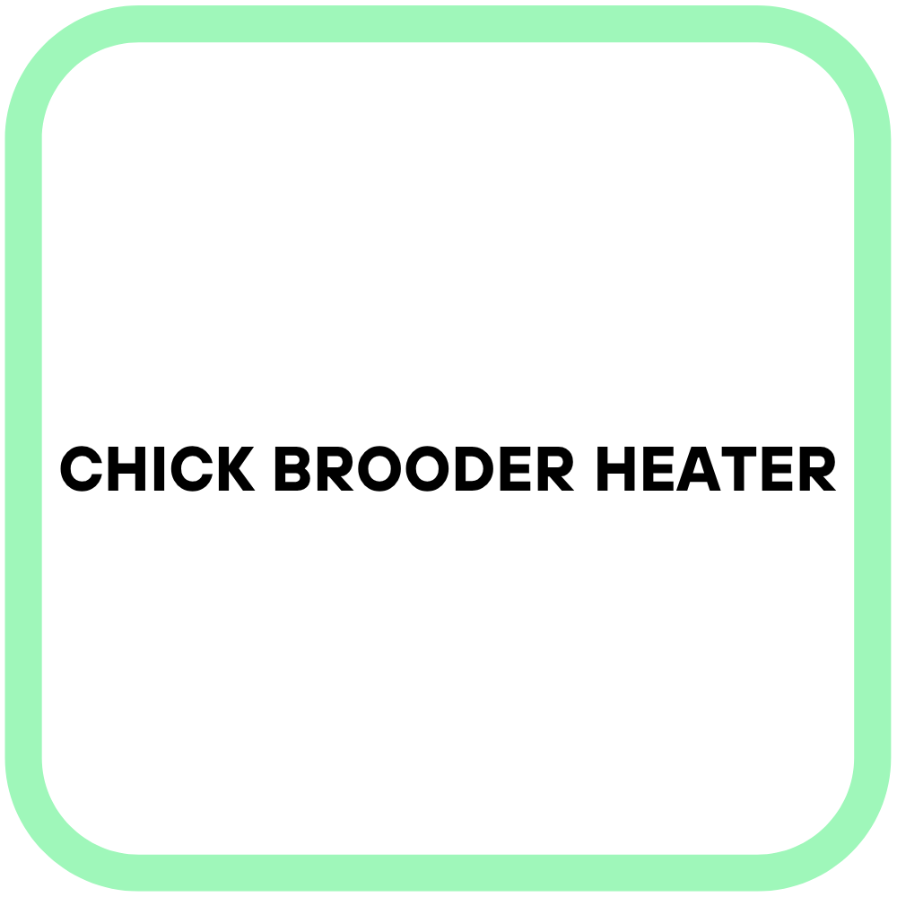 Chick Brooder Heater
