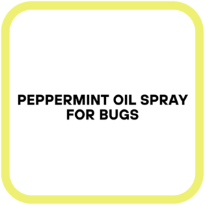 Peppermint Oil Spray for Bugs