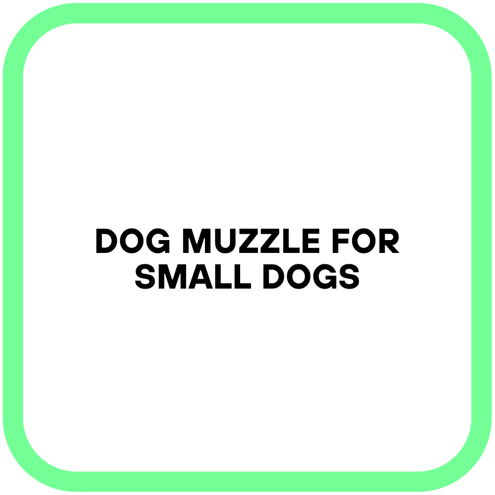 Dog Muzzle for Small Dogs