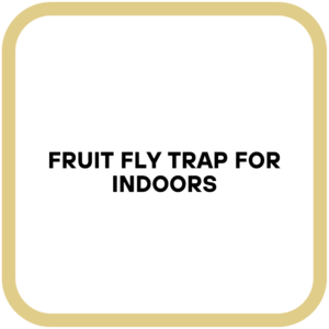 Fruit Fly Trap for Indoors