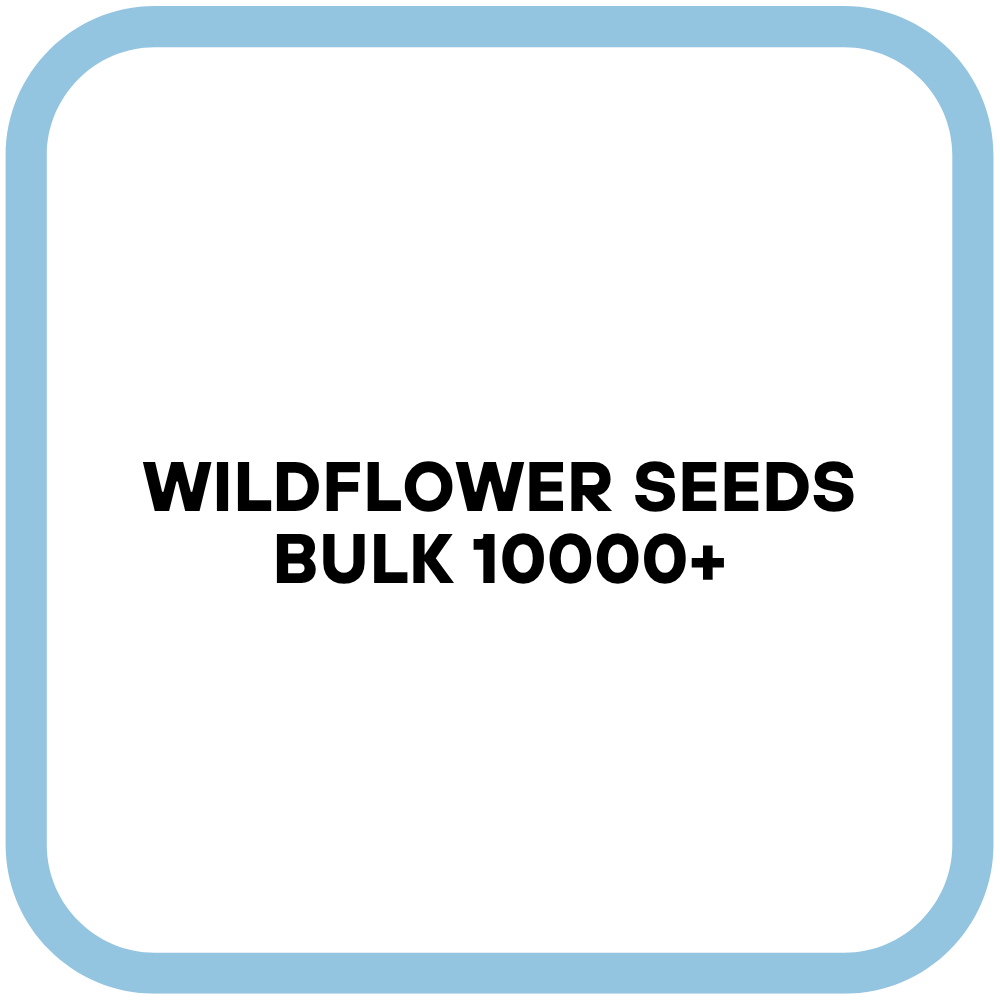 Wildflower Seeds Bulk 10000+