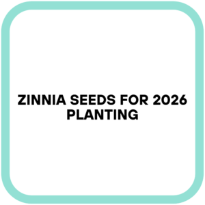 Zinnia Seeds for 2026 Planting