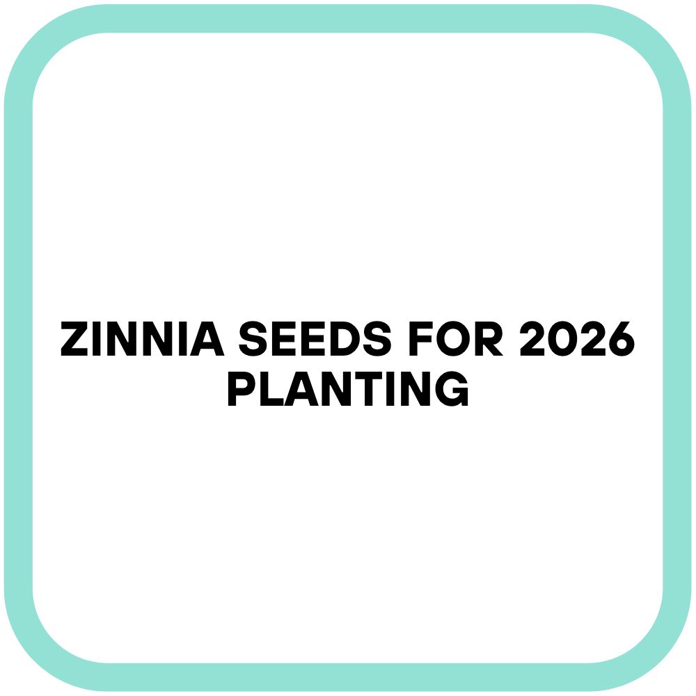 Zinnia Seeds for 2026 Planting
