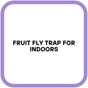 Fruit Fly Trap for Indoors
