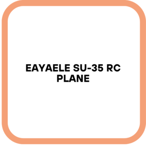 Eayaele SU-35 RC Plane