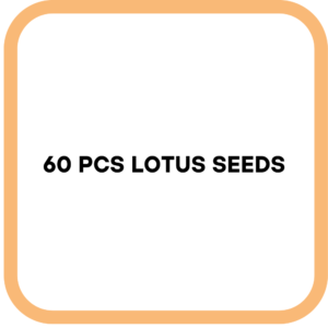 60 PCS Lotus Seeds
