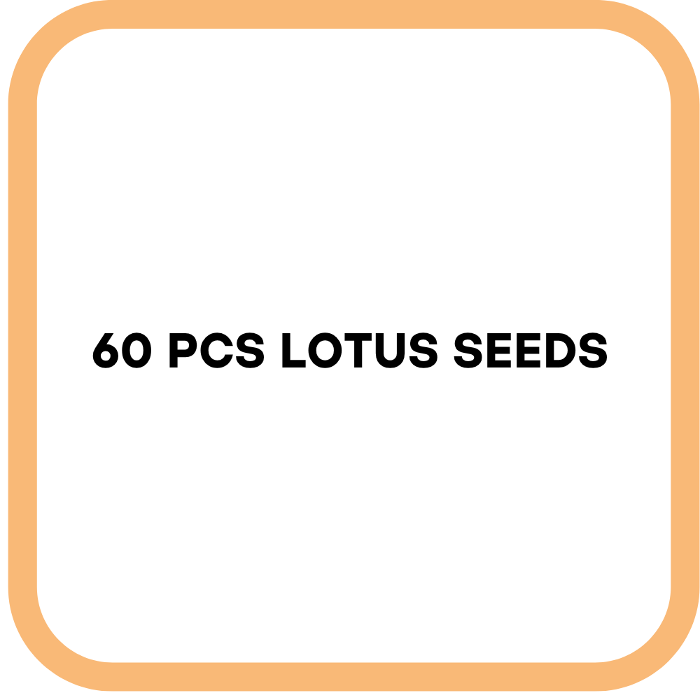 60 PCS Lotus Seeds