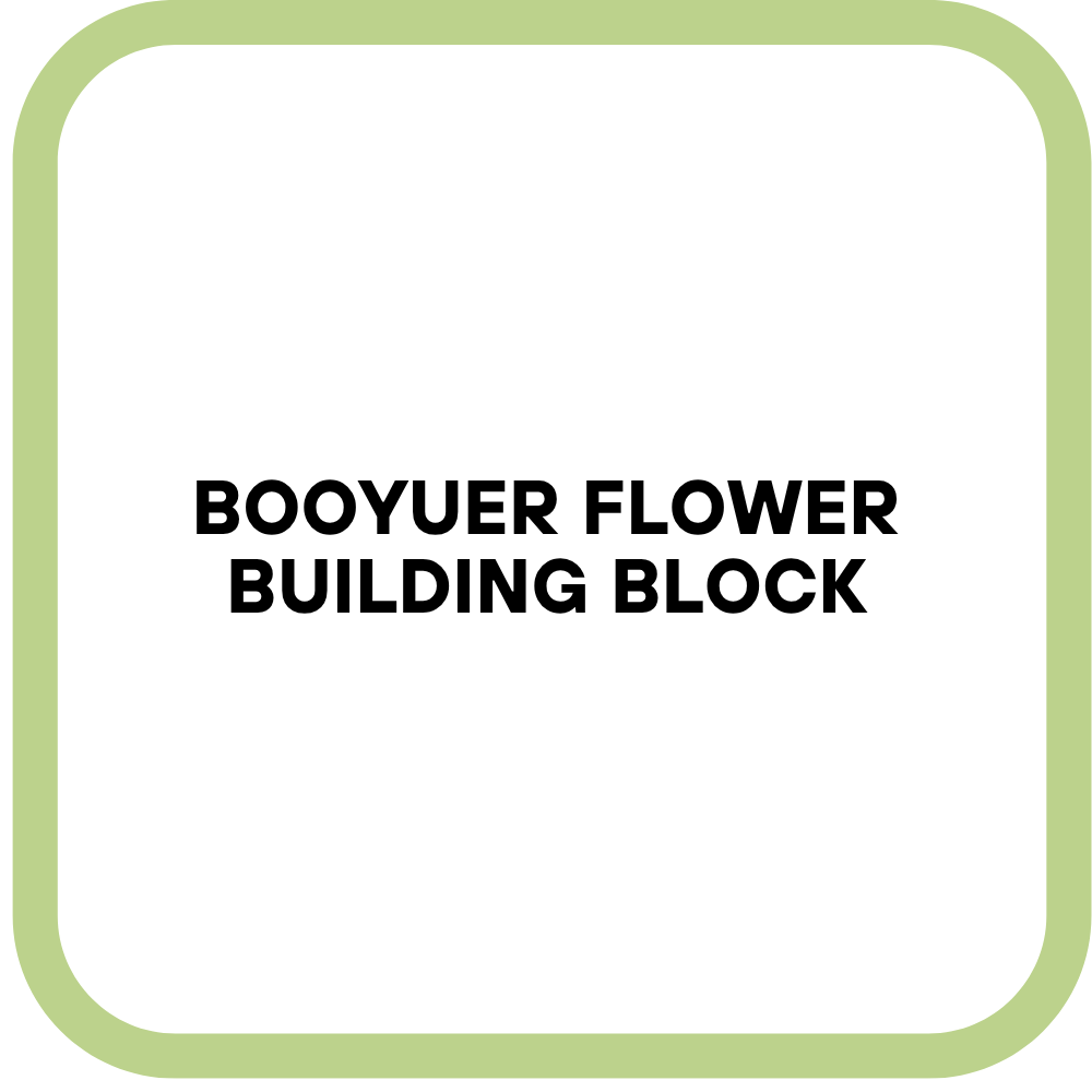 Booyuer Flower Building Block