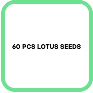60 PCS Lotus Seeds