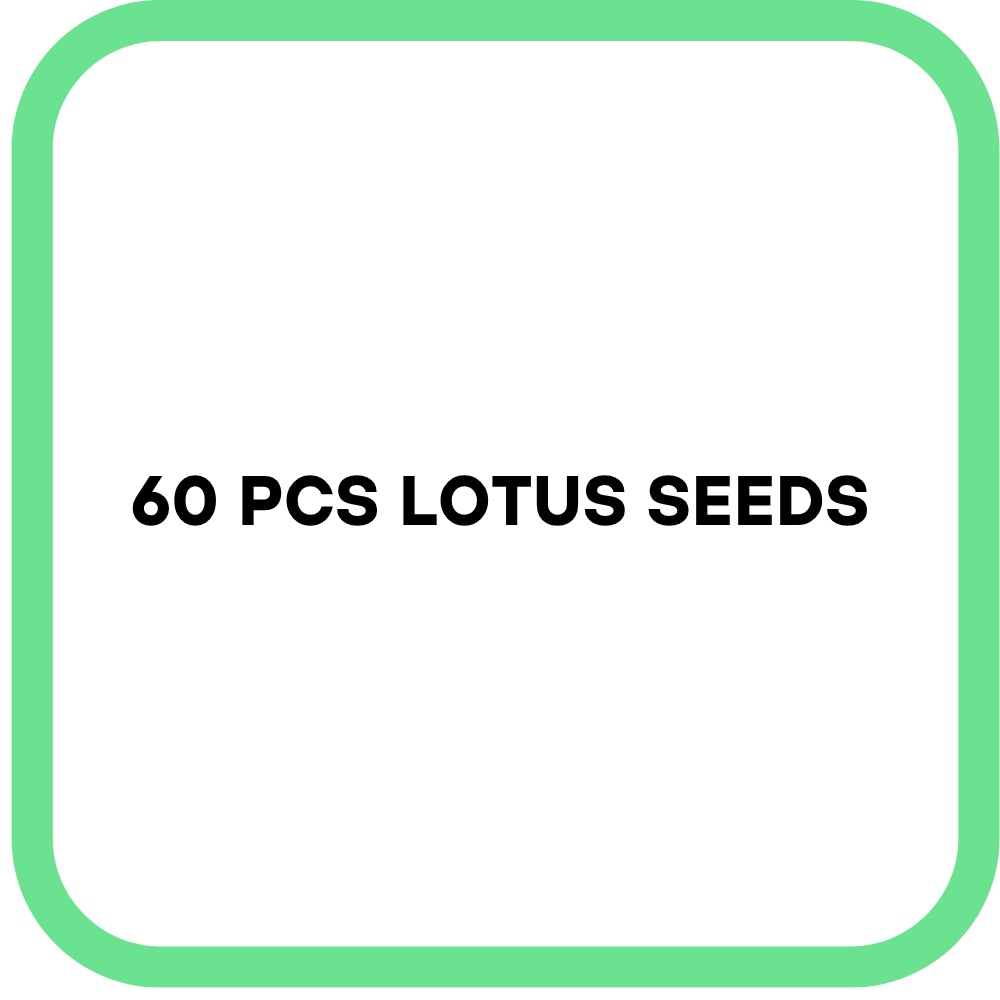 60 PCS Lotus Seeds