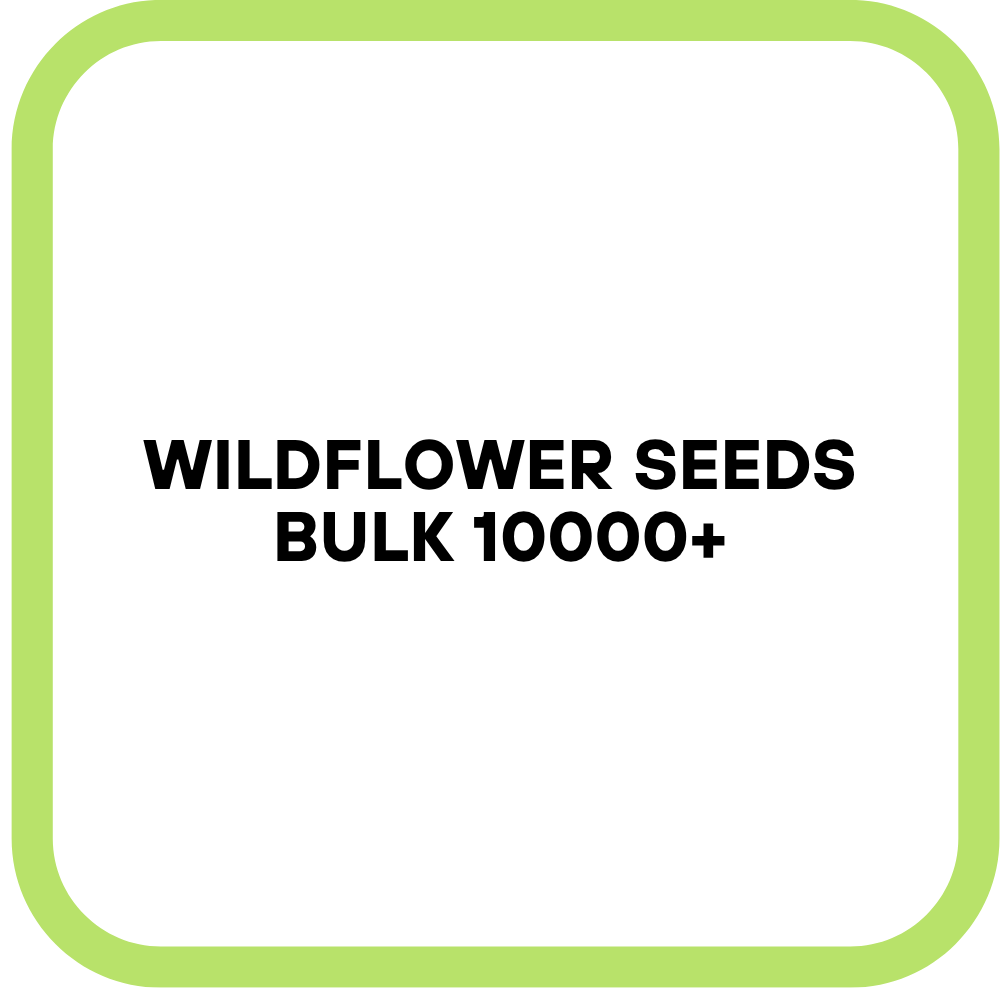 Wildflower Seeds Bulk 10000+