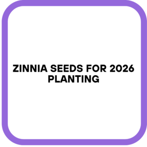 Zinnia Seeds for 2026 Planting