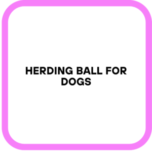 Herding Ball for Dogs