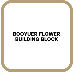 Booyuer Flower Building Block