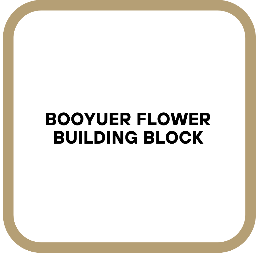 Booyuer Flower Building Block