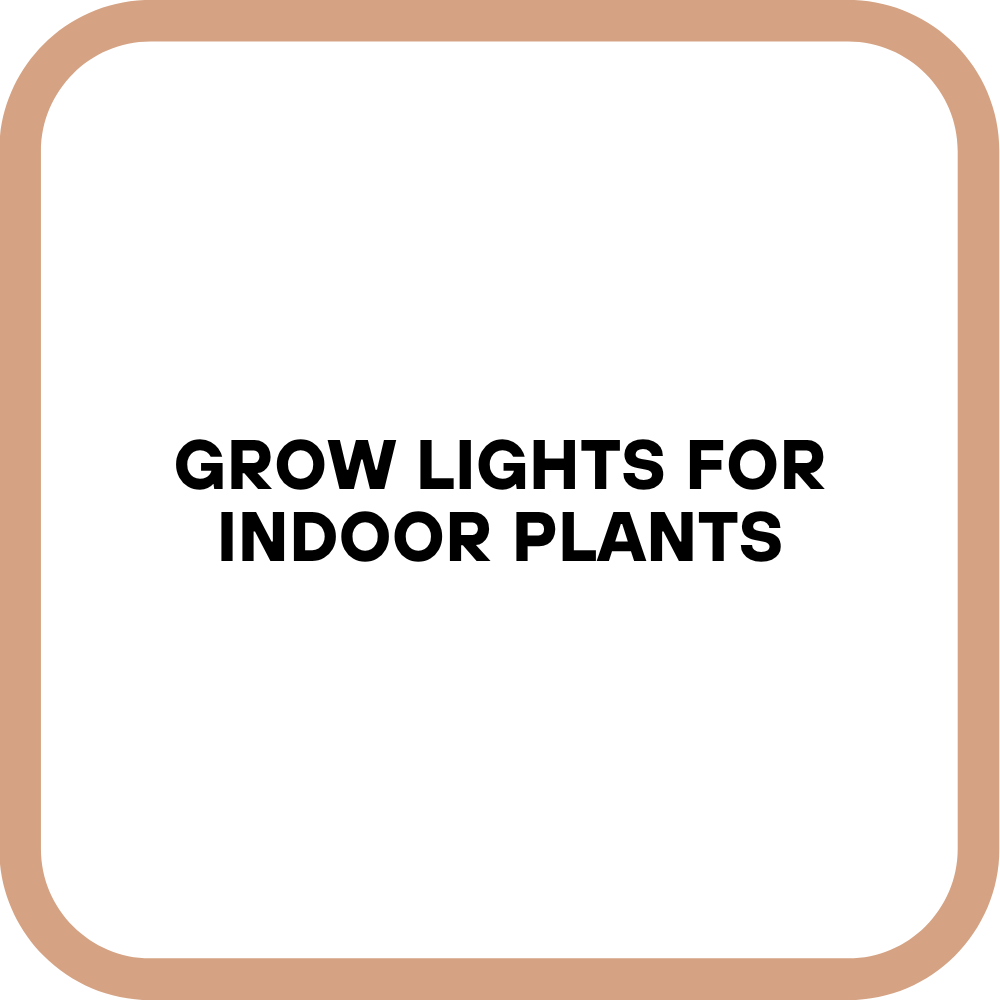 Grow Lights for Indoor Plants