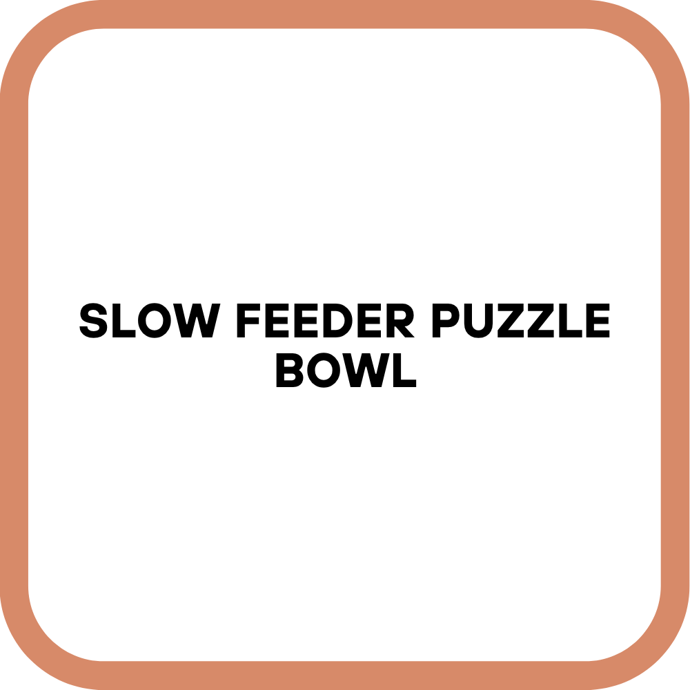 Slow Feeder Puzzle Bowl