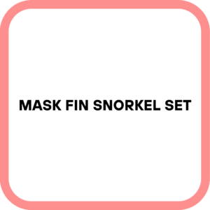 Mask Fin Snorkel Set