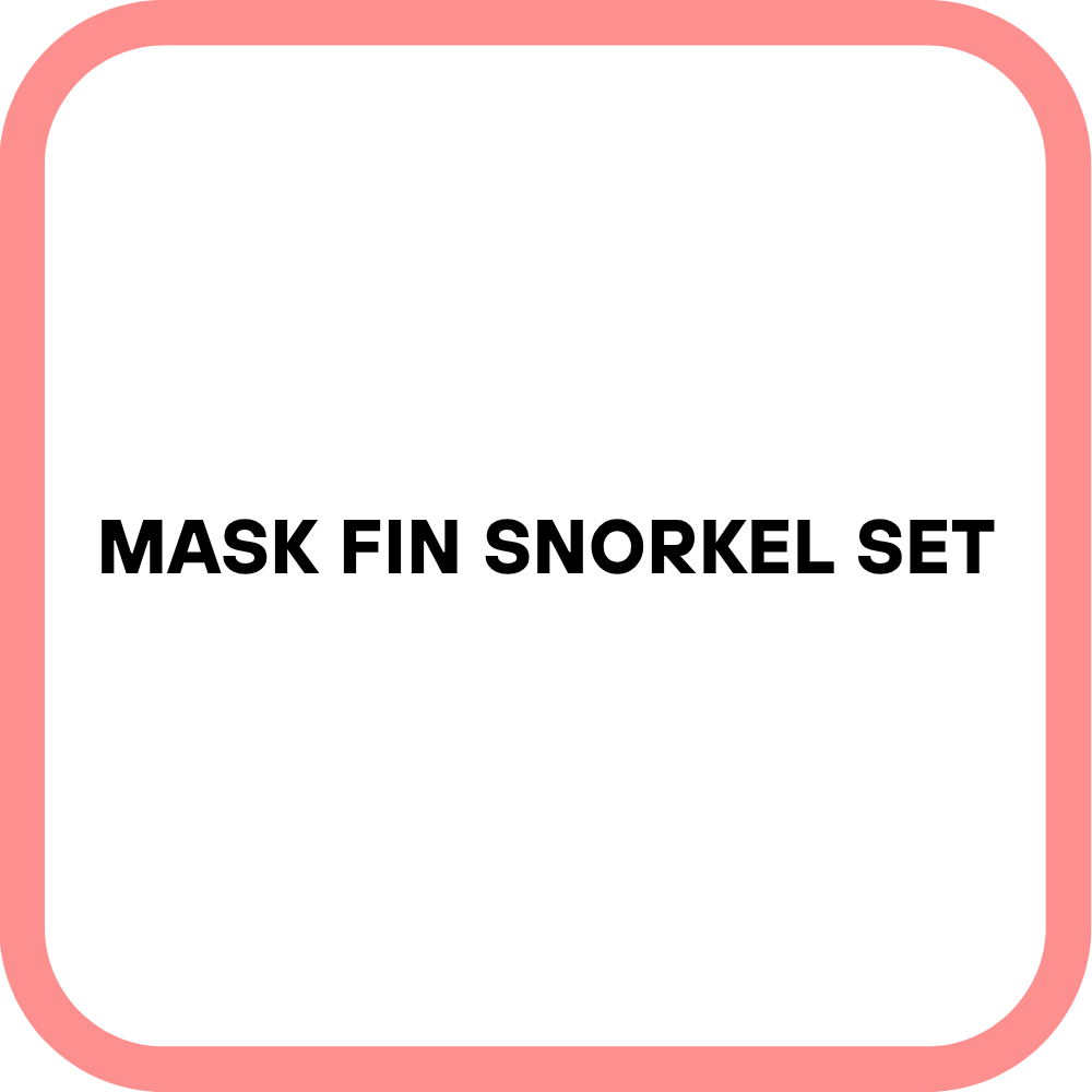 Mask Fin Snorkel Set