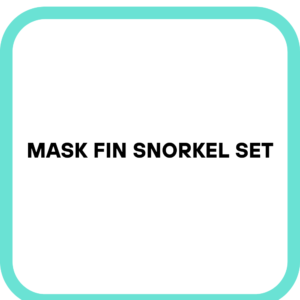 Mask Fin Snorkel Set