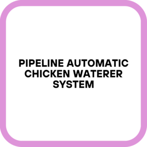Pipeline Automatic Chicken Waterer System