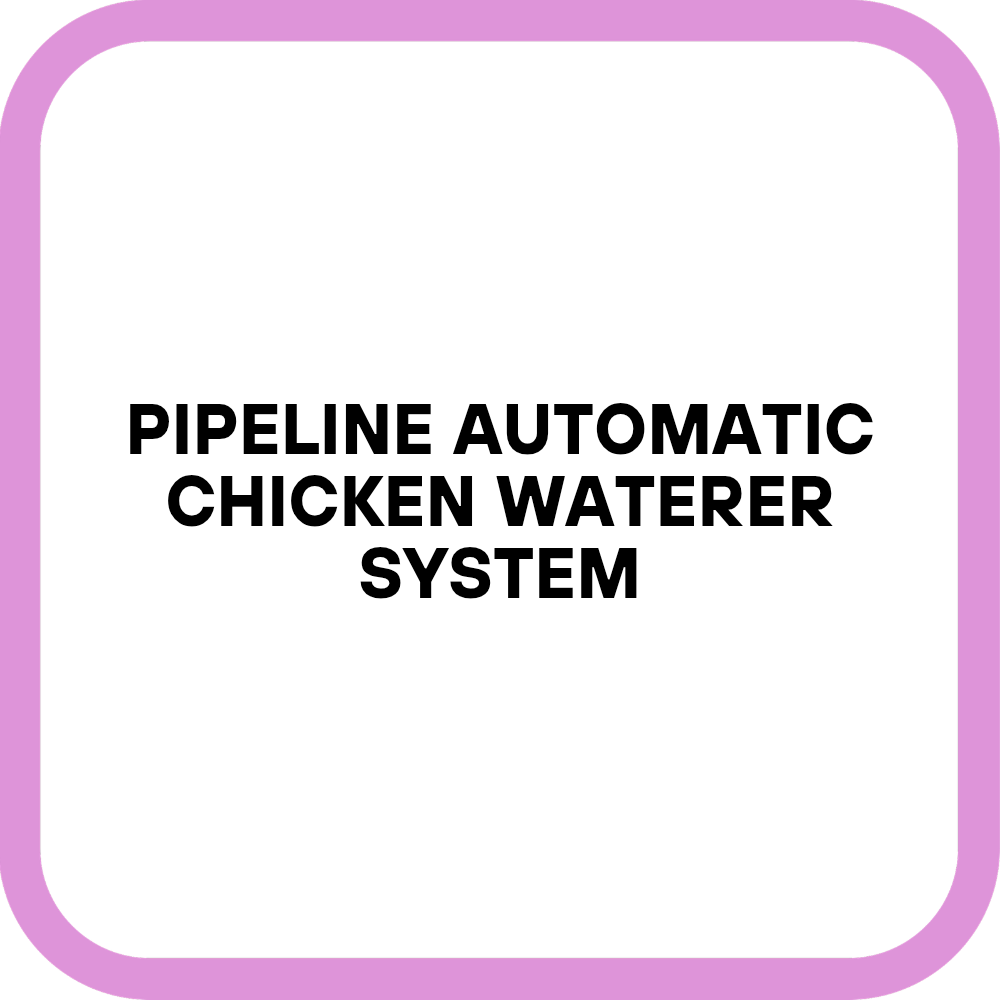 Pipeline Automatic Chicken Waterer System