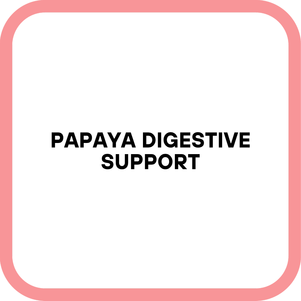 Papaya Digestive Support