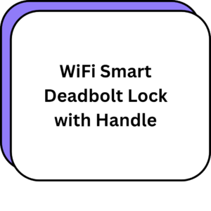 WiFi Smart Deadbolt Lock with Handle