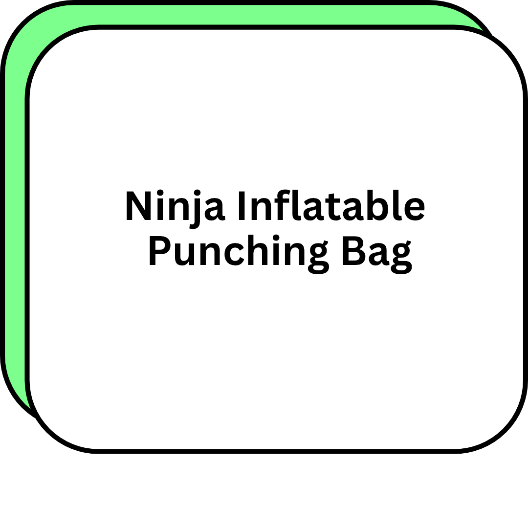 Ninja Inflatable Punching Bag