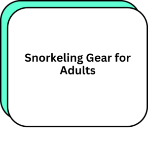 Snorkeling Gear for Adults