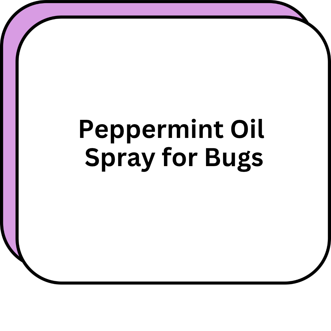 Peppermint Oil Spray for Bugs